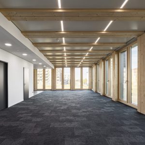 Moderner Innenraum mit einem langen, lichtdurchfluteten Flur, der von großen bodentiefen Fenstern mit Holzrahmen flankiert wird. Die Decke ist mit sichtbaren Holzträgern und integrierter Beleuchtung gestaltet, während der anthrazitfarbene Teppichboden.